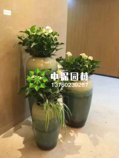如今园林景观公司行业在未来的发展道路会是什么样的