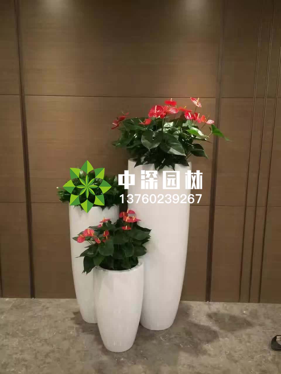 组合盆景