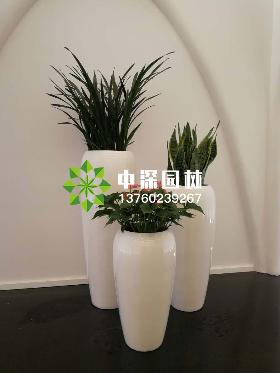 组合盆景
