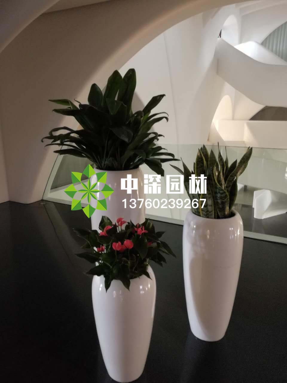 组合盆景
