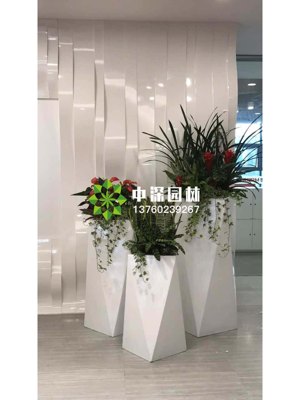组合盆景