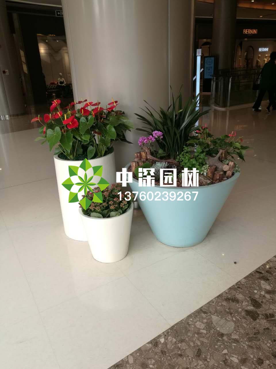 组合盆景