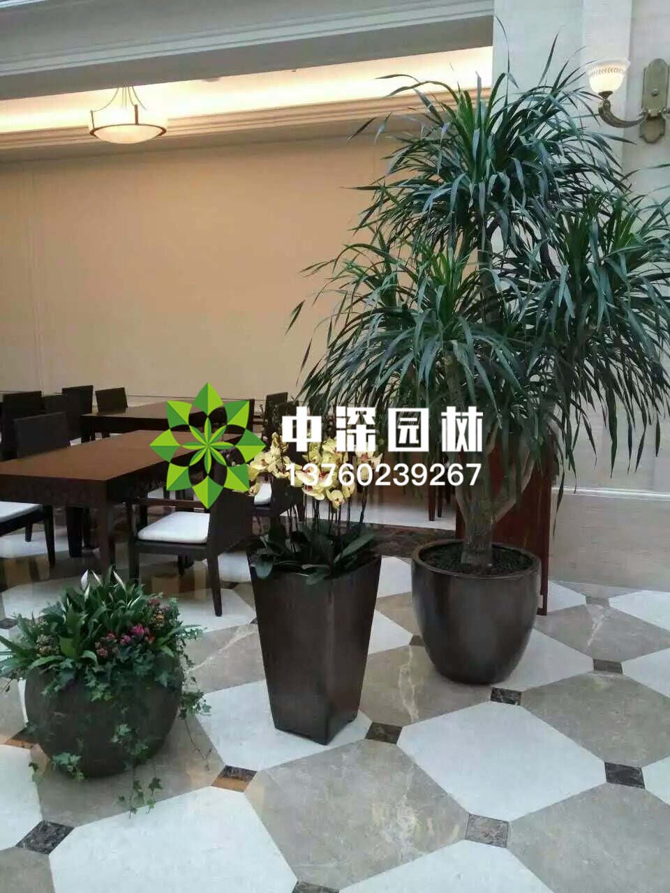 组合盆景