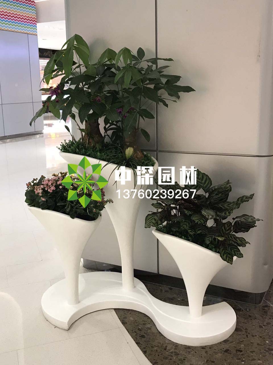 组合盆景