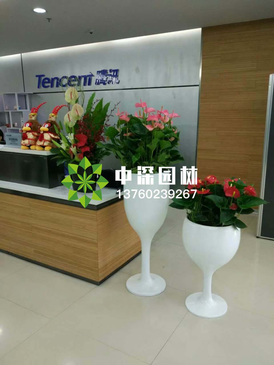 组合盆景