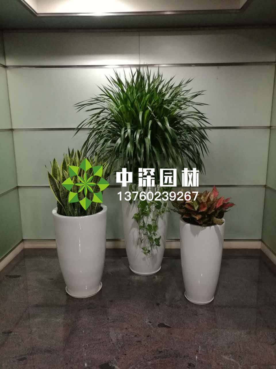 组合盆景