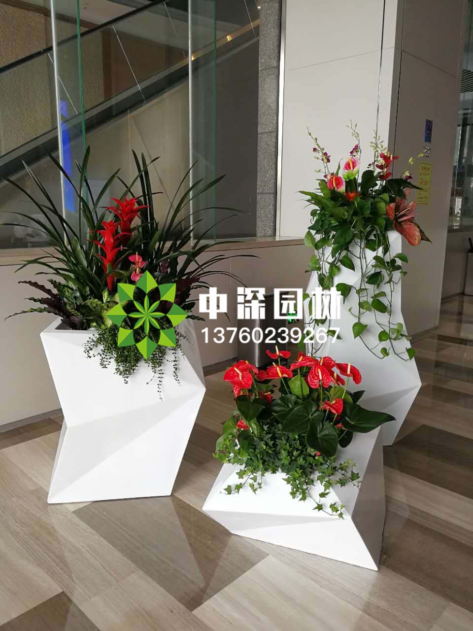 组合盆景