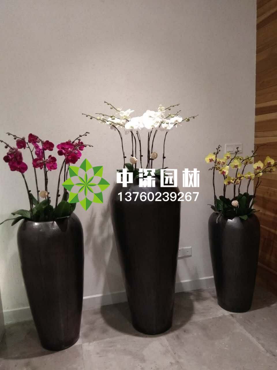 组合盆景