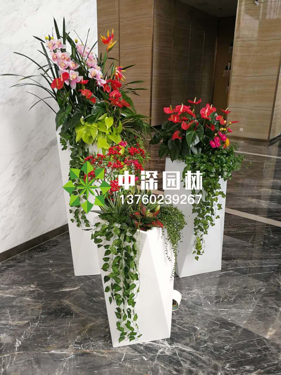 组合盆景