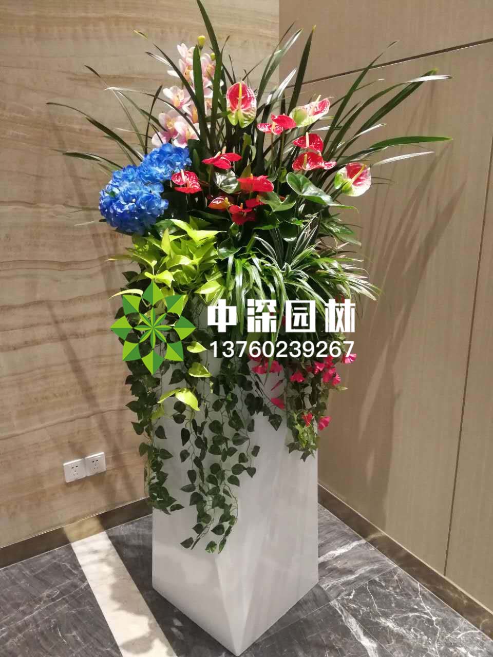 组合盆景