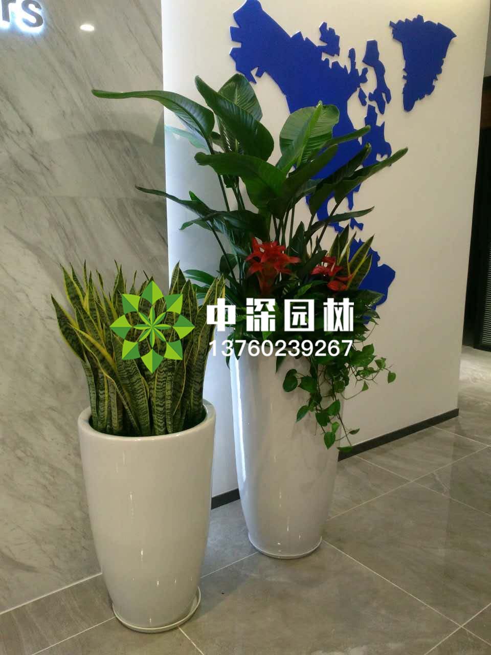 组合盆景