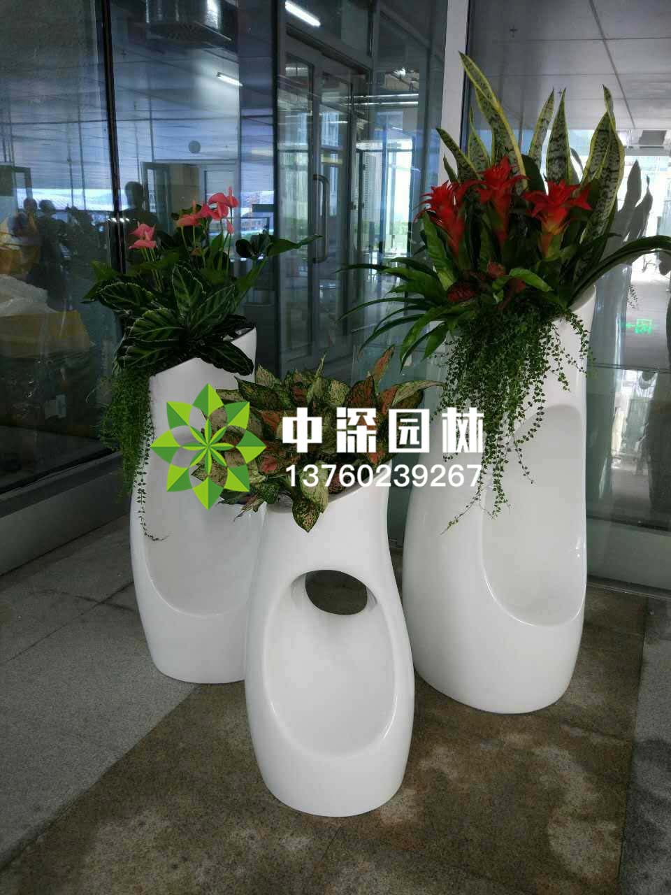 组合盆景