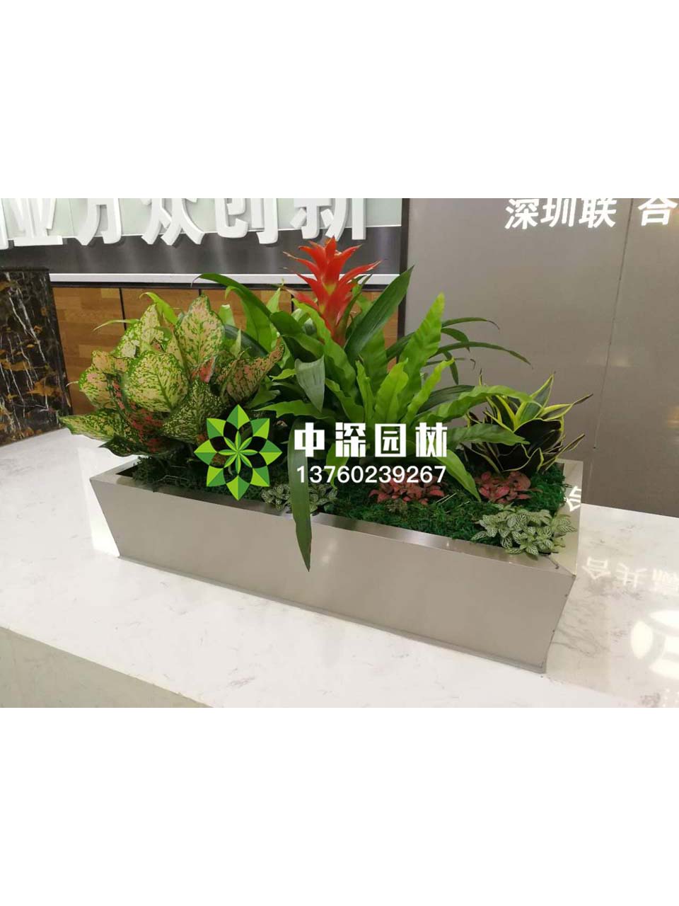组合盆景