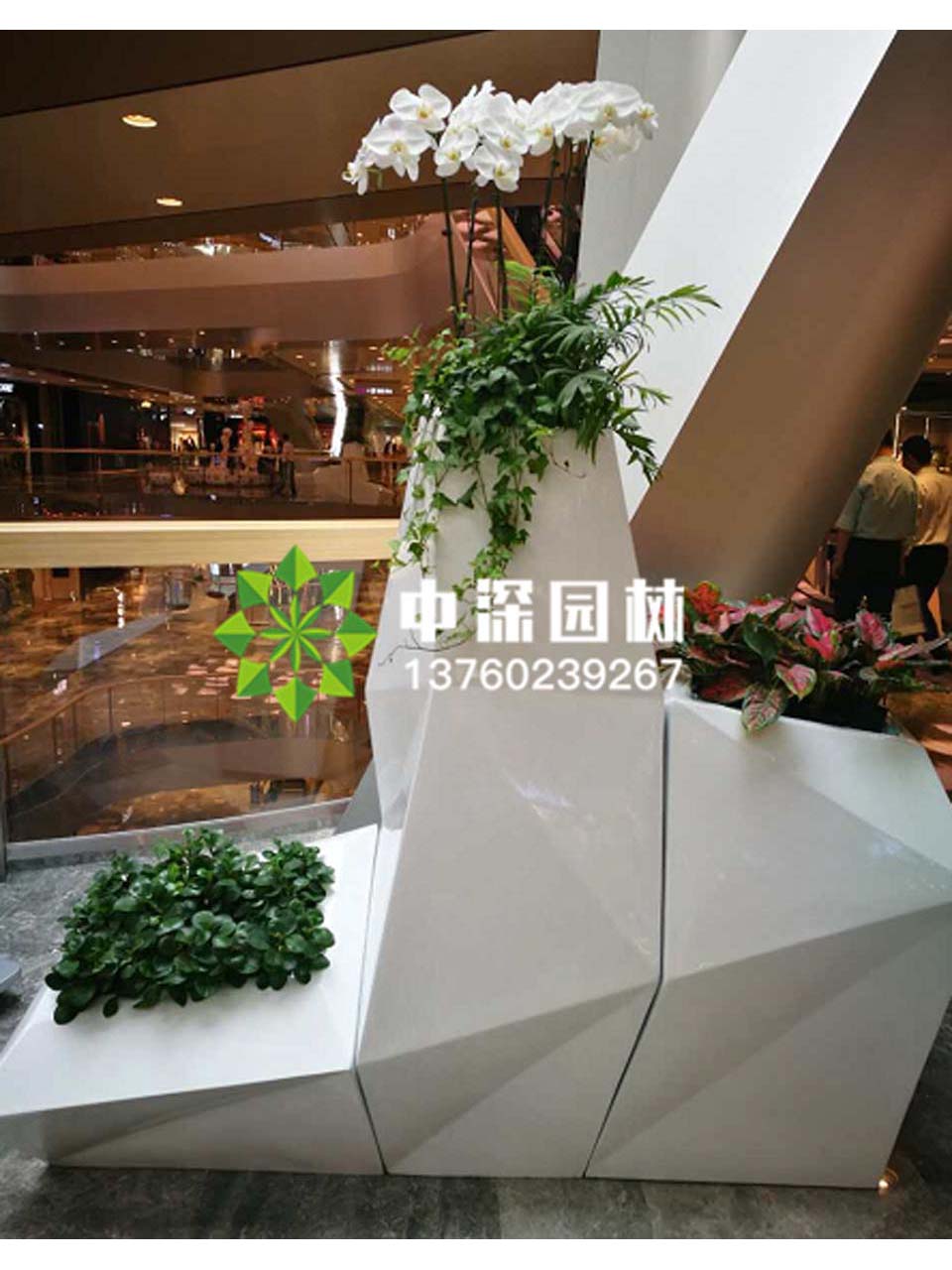 组合盆景