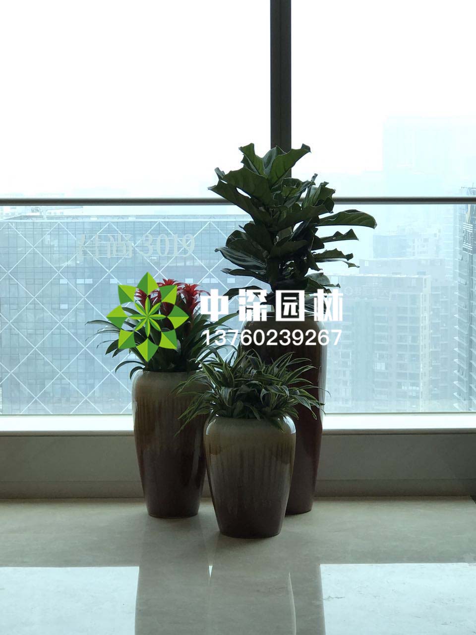 组合盆景