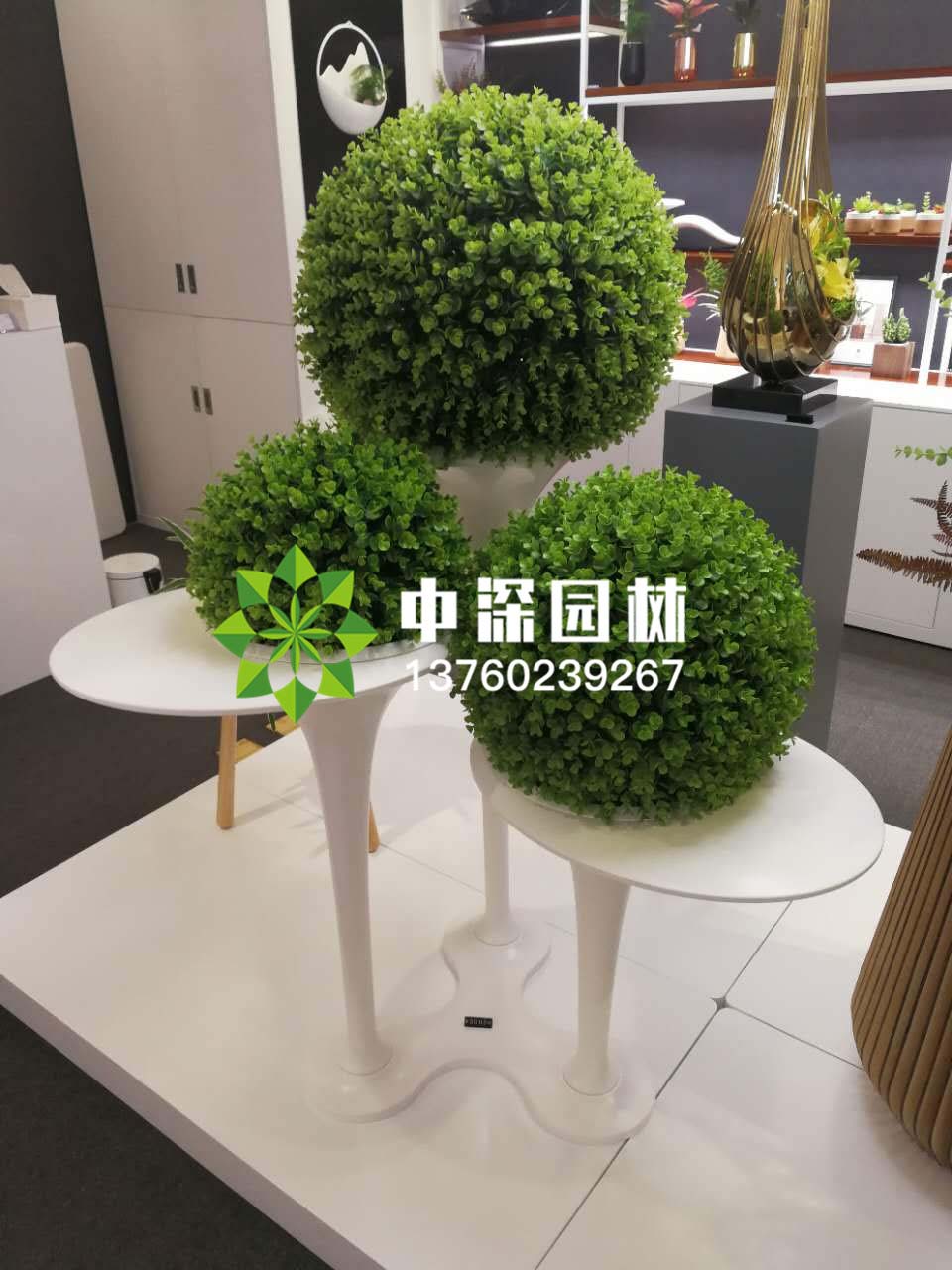 组合盆景