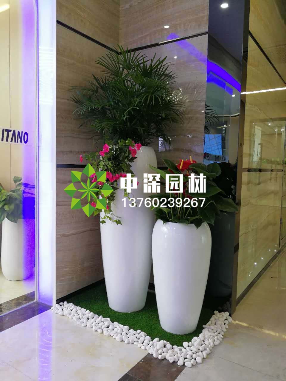 组合盆景