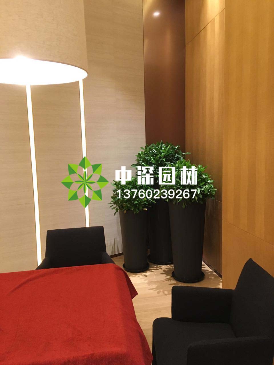 组合盆景
