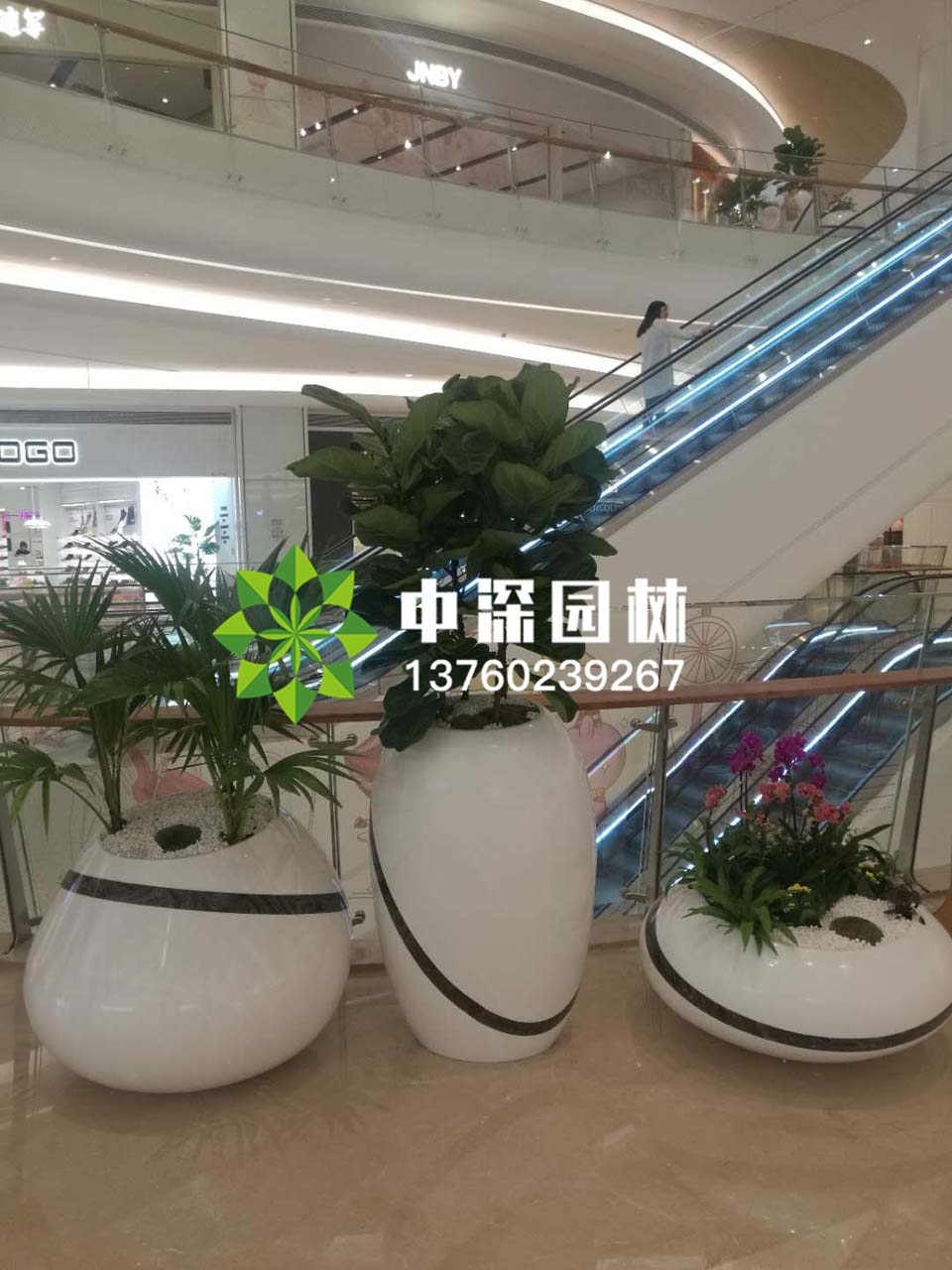 组合盆景