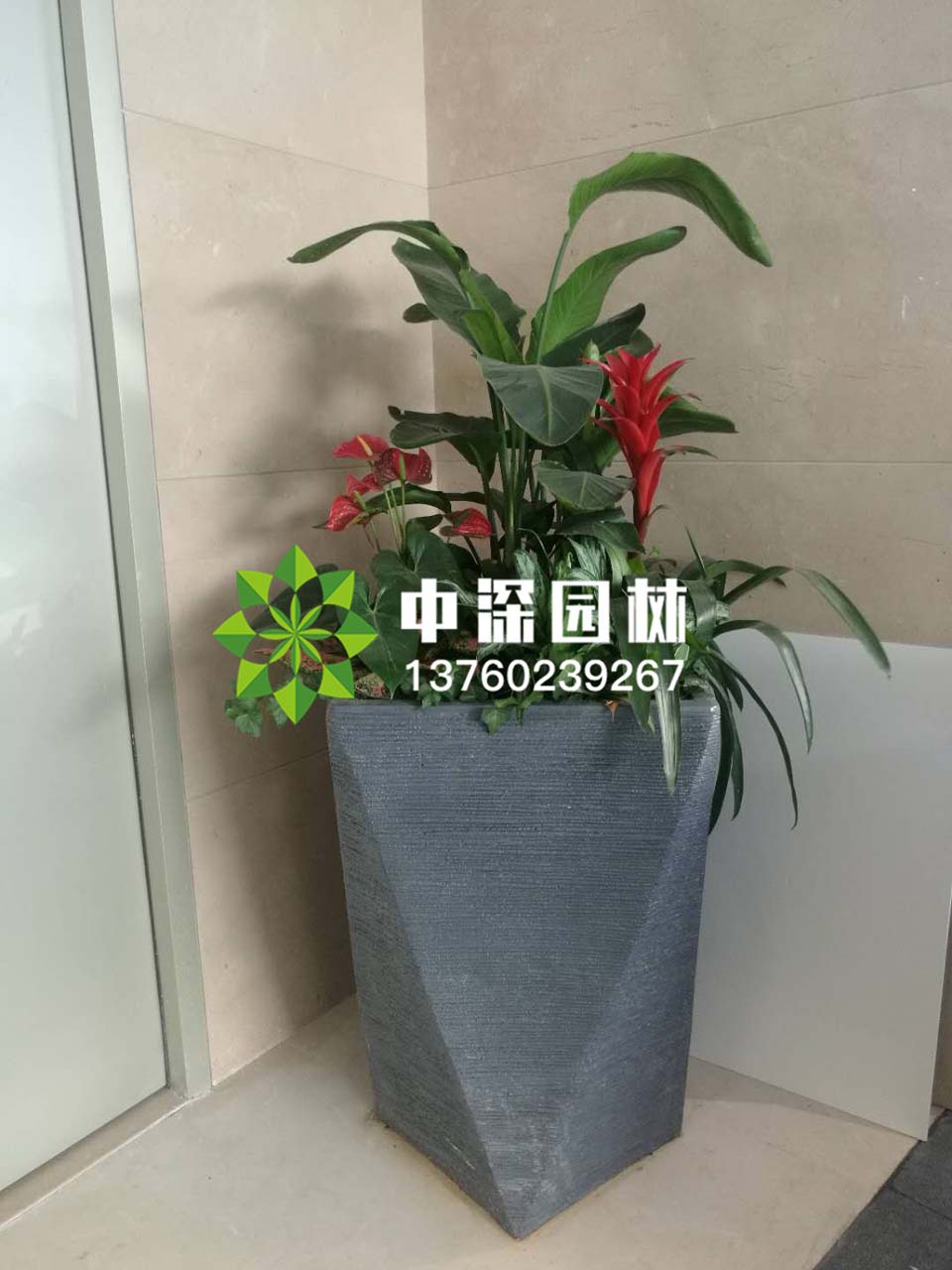 组合盆景