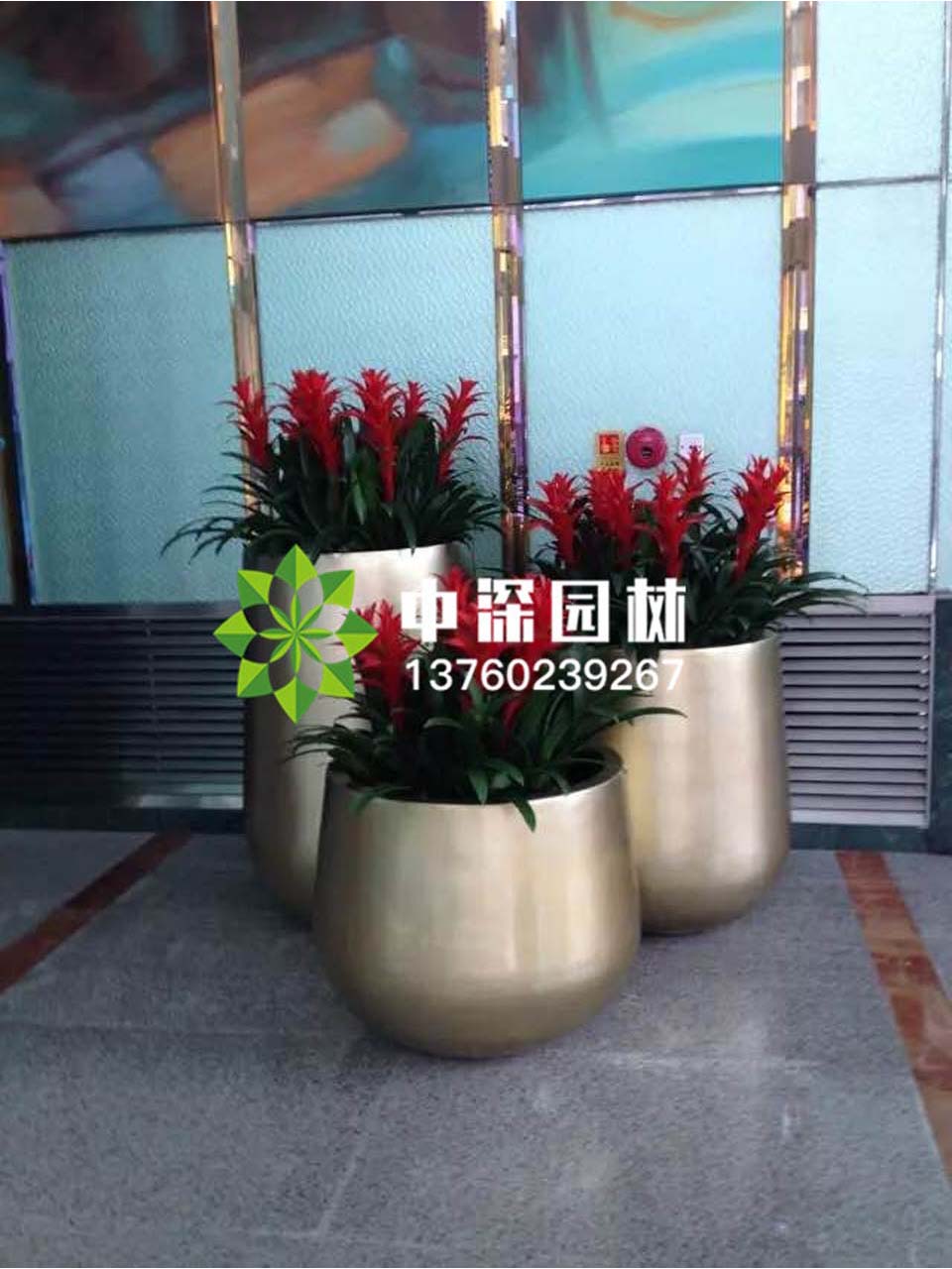组合盆景