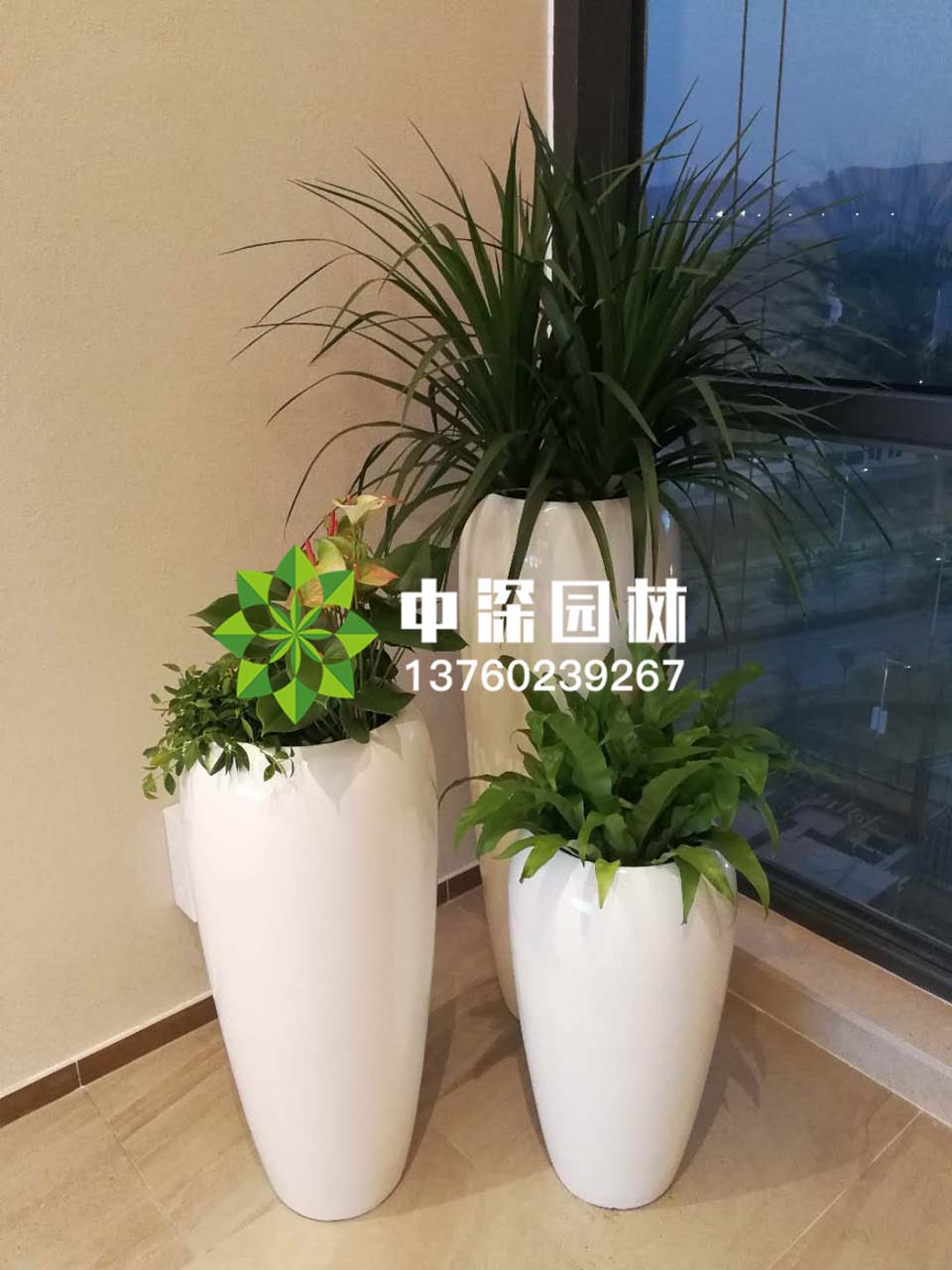 组合盆景