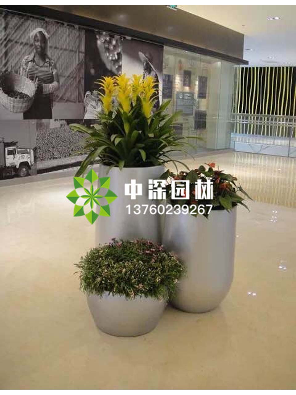 组合盆景