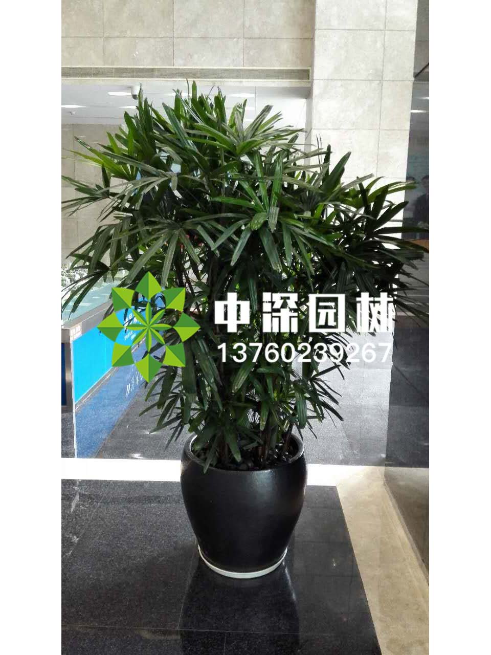 其他系列