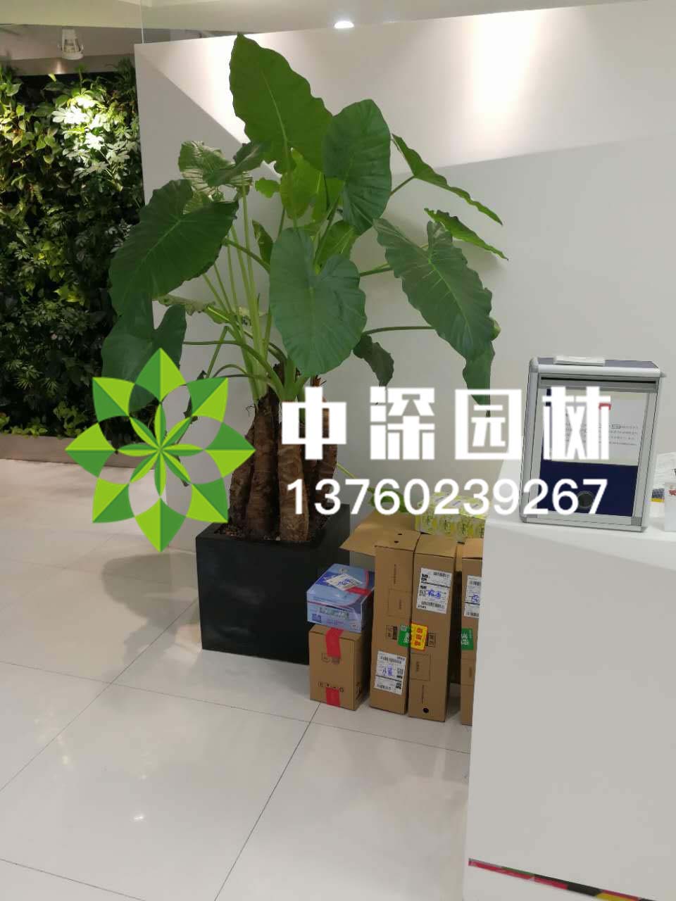 其他系列