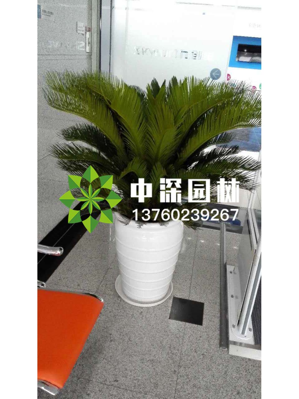 其他系列