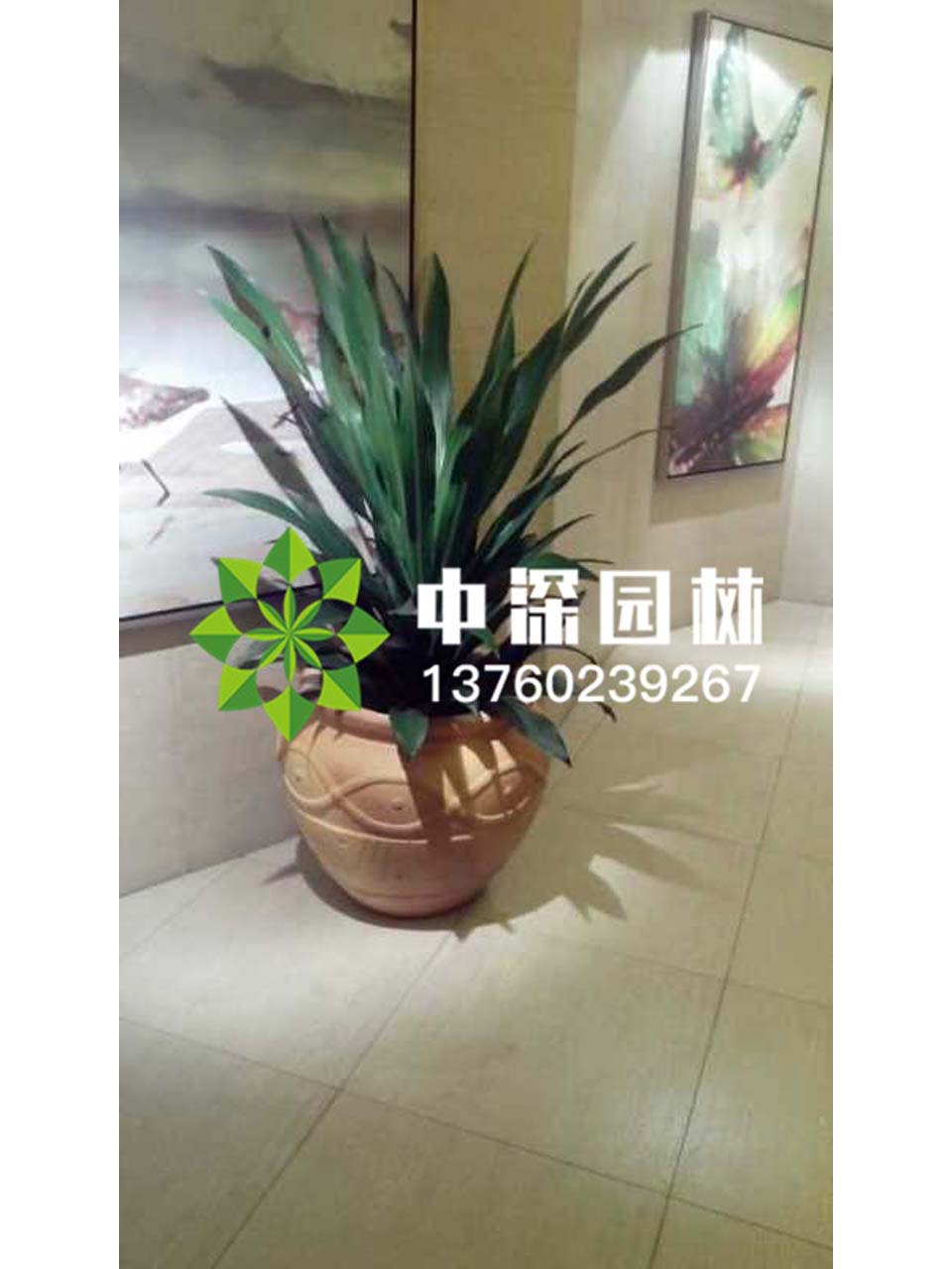 其他系列