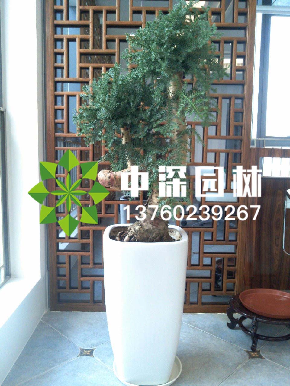 其他系列