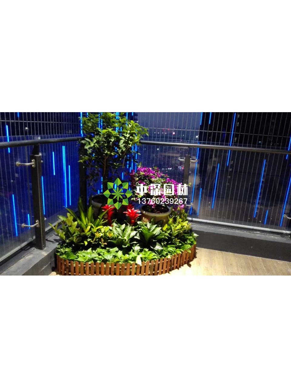 花坛盆景