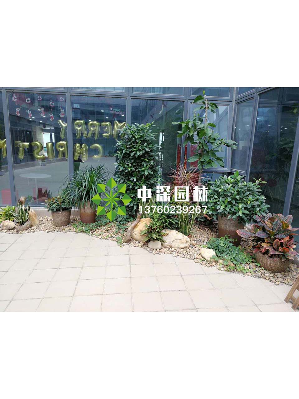 花坛盆景