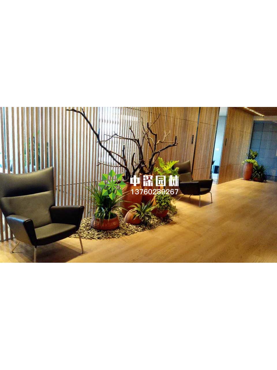 花坛盆景