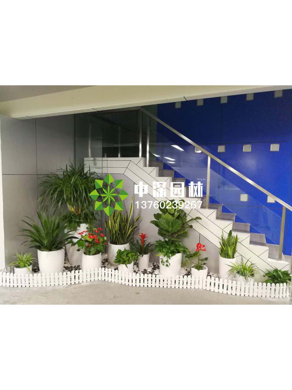 花坛盆景