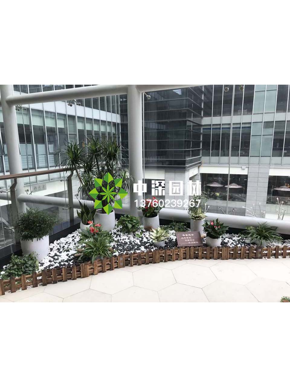 花坛盆景