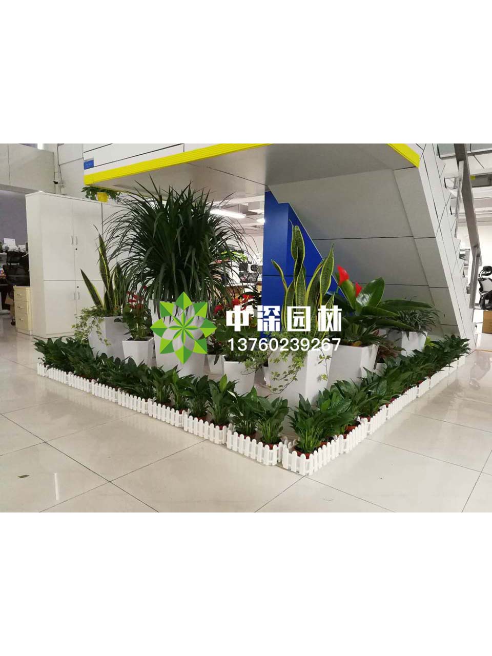 花坛盆景