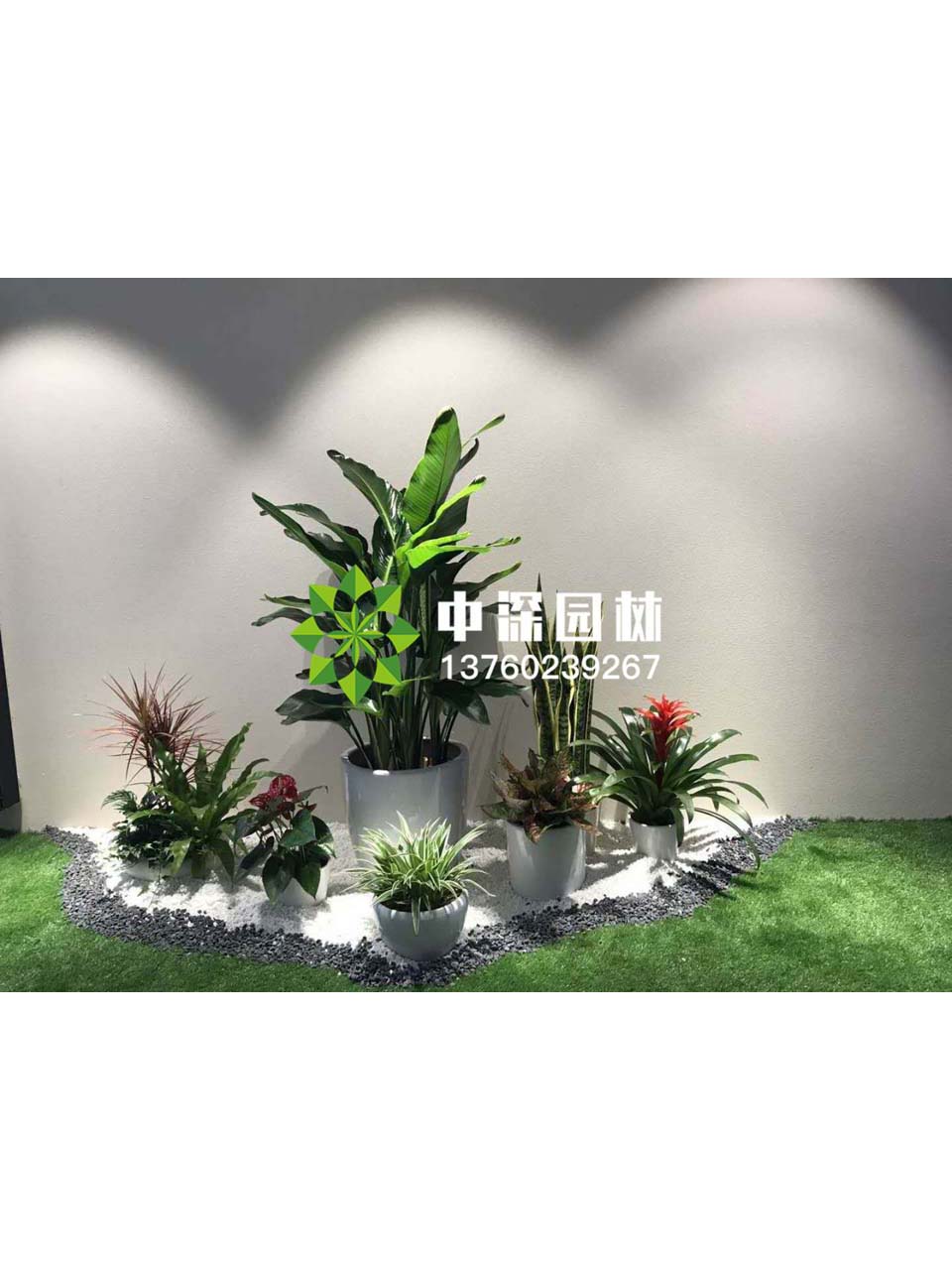 花坛盆景