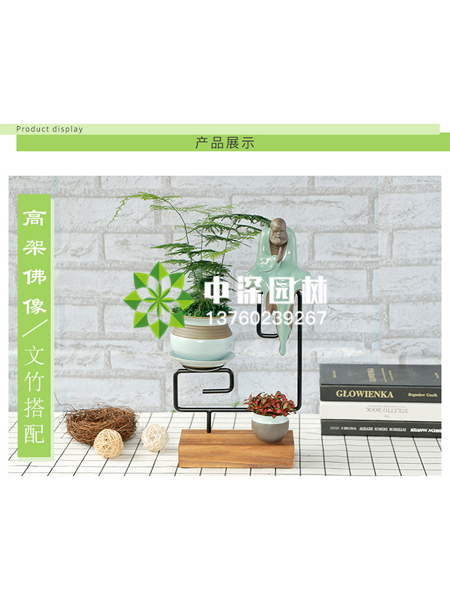 小型植物