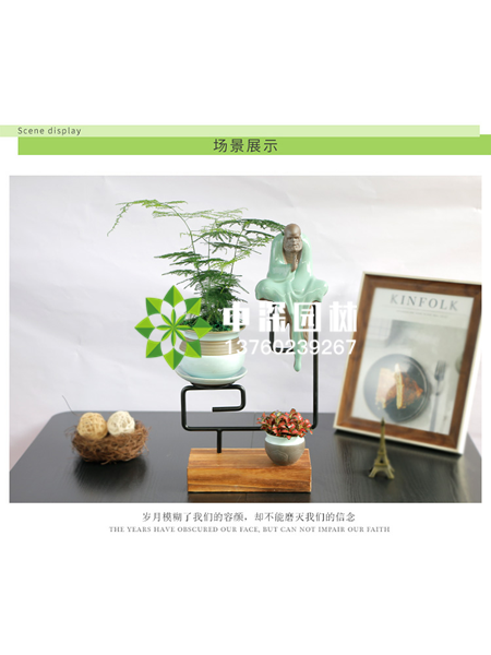小型植物