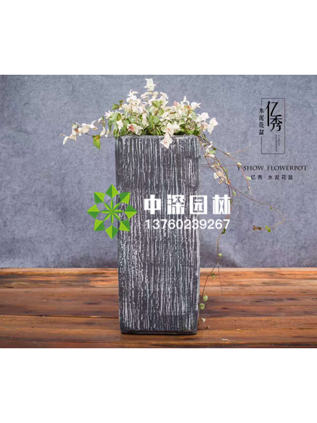 小型植物
