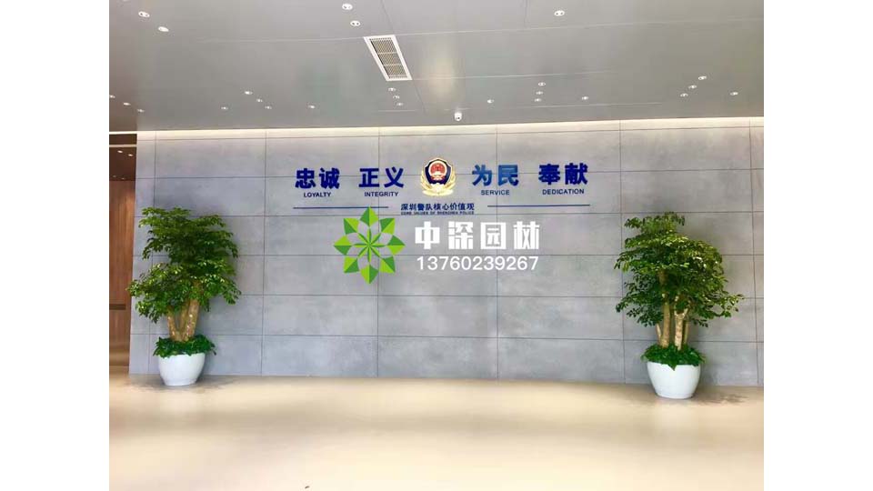 深圳警队